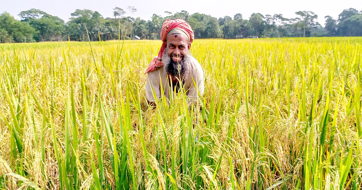 বৈশ্বিক উষ্ণায়ন ও খাদ্য নিরাপত্তায় এর প্রভাব