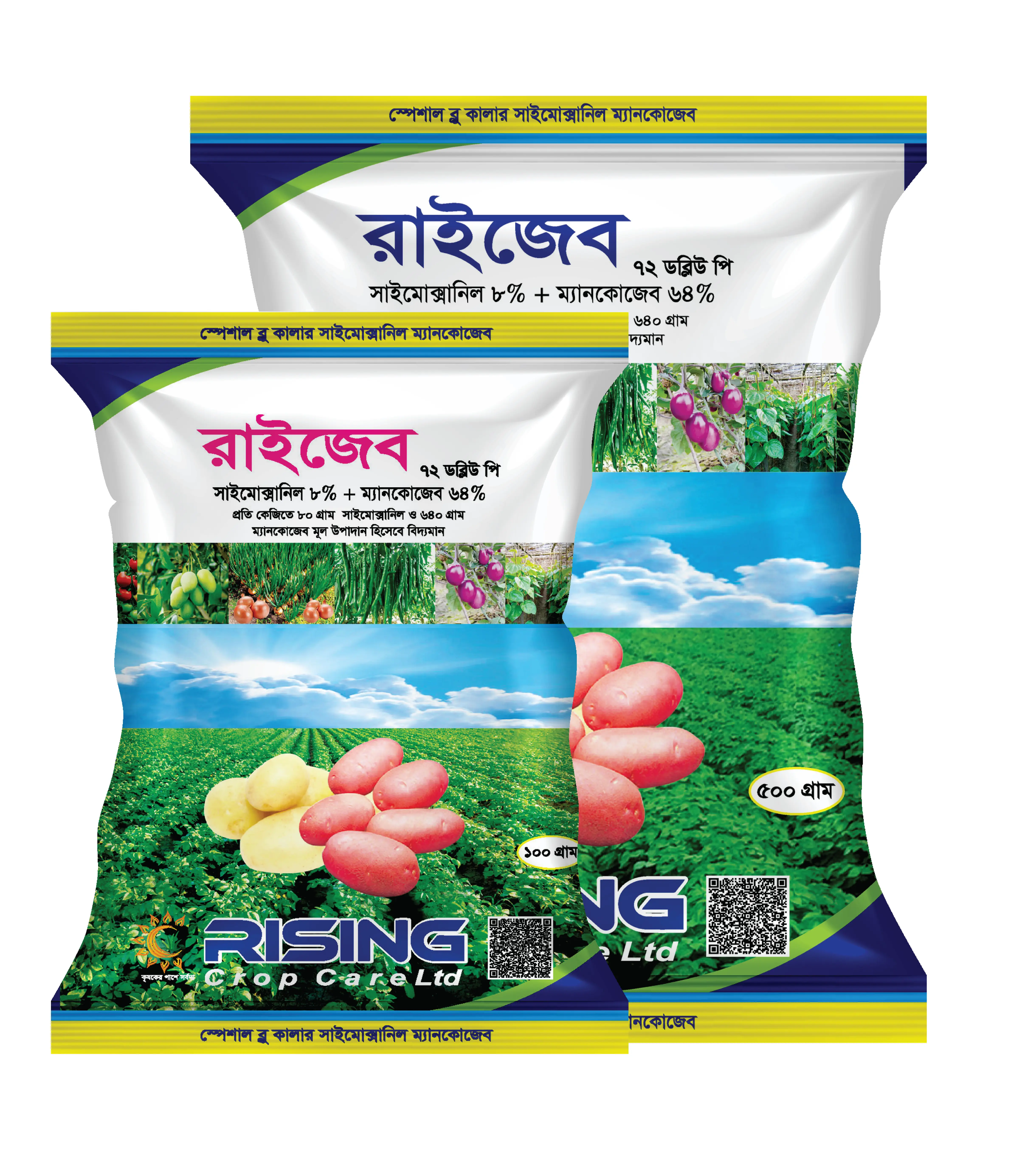 রাইজেব